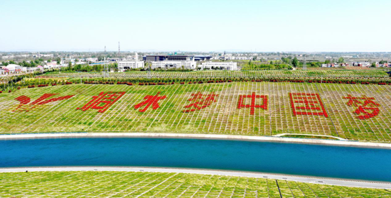 1620952710443489.png 02.png